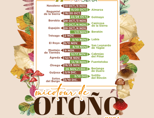 De setas por Soria – Micotour de Otoño 2024