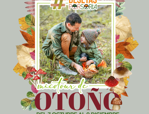 De setas por Soria – Micotour de Otoño 2025