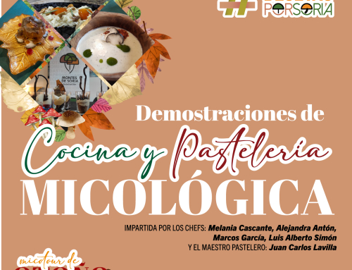 De setas por Soria – Cocina y Pastelería Micológica Otoño 2025
