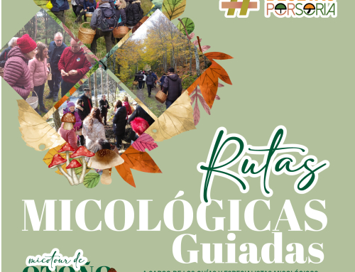 De setas por Soria – Rutas Micológicas Guiadas Otoño 2025