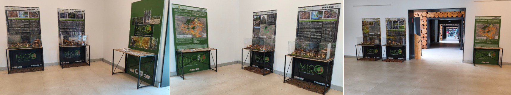 EXPOSICIÓN CASA DE LA MADERA 2026