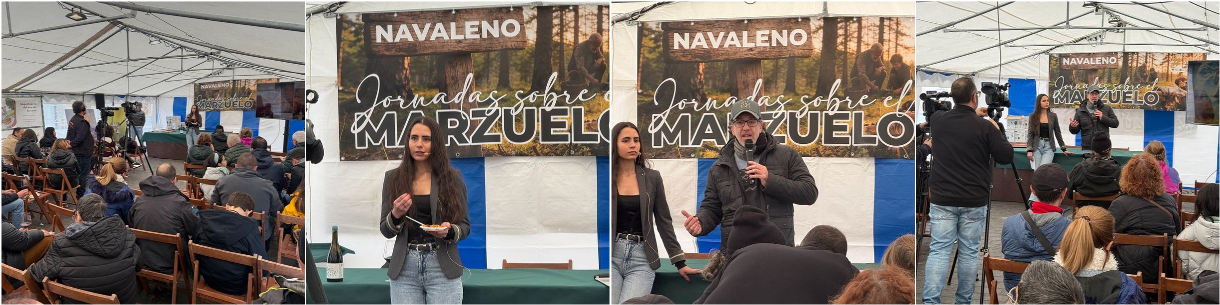 MARIDAJE SETAS Y VINOS DE SORIA