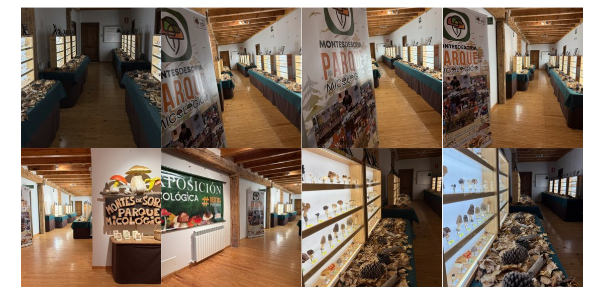 EXPOSICIÓN EN CASA DEL PARQUE DEL CAÑÓN DEL RÍO LOBOS 2026
