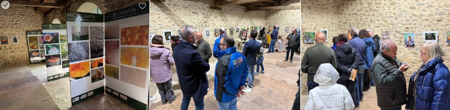 CONCURSO DE FOTOGRAFÍA