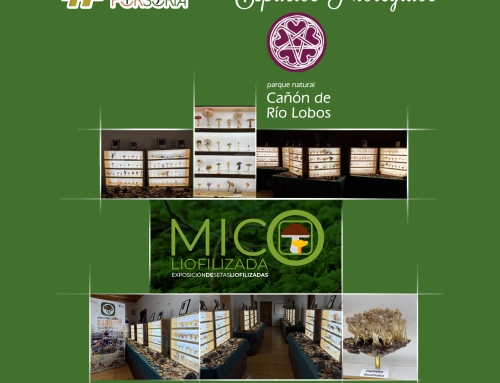 #DESETASPORSORIA en nuestros Espacios Protegidos 2026: MICOliofilizada en la Casa del Parque del Cañón del Río Lobos