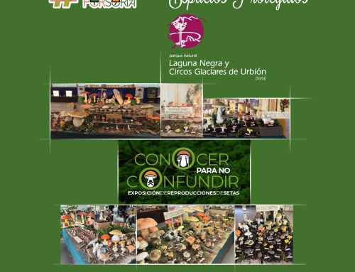 #DESETASPORSORIA en nuestros Espacios Protegidos 2026: Conocer para no Confundir en la Casa del Parque Laguna Negra