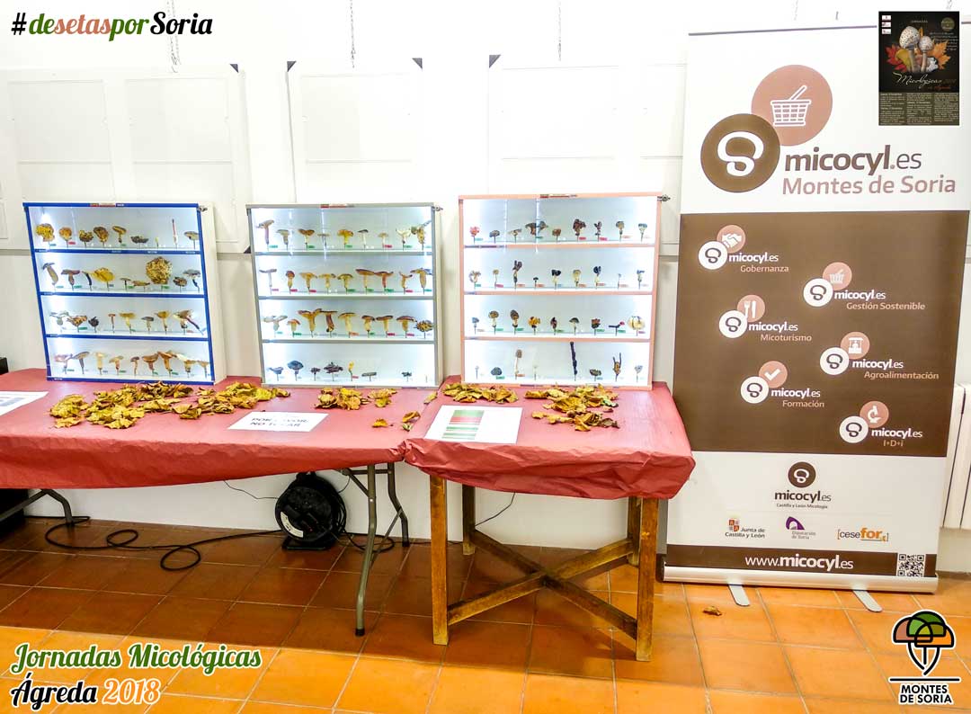 jornadas-micologicas-agreda-2018-02