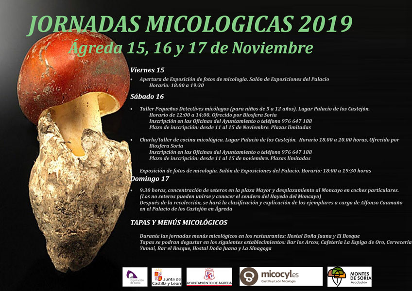 Jornadas Micológicas El Royo 2018