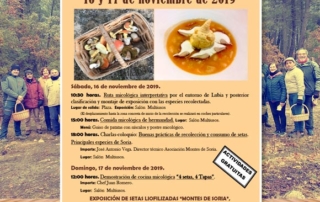 Jornadas Micológicas Lubia 2019