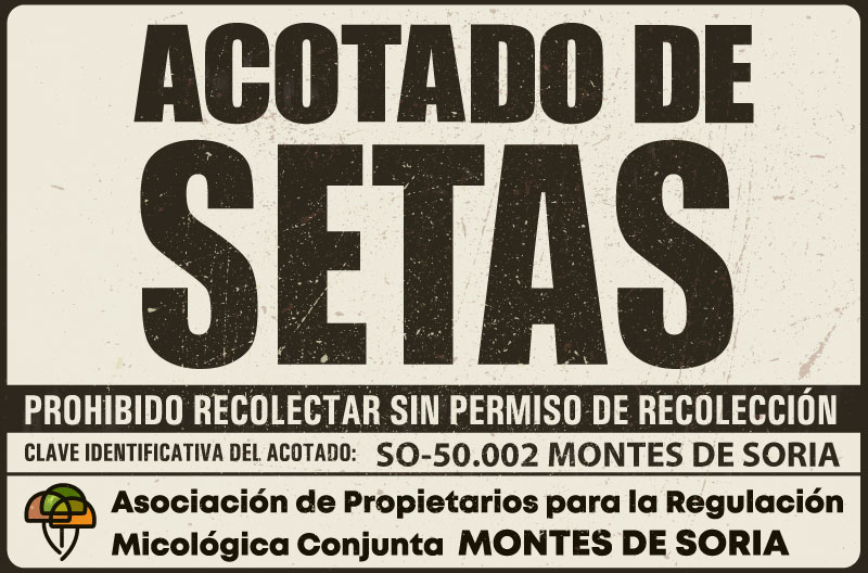 ACTUAL
