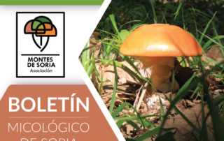 Inauguramos el Boletín Micológico de Montes de Soria