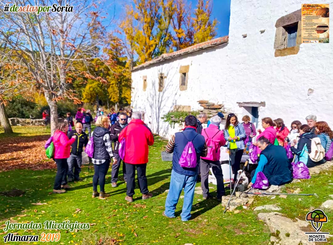 Jornadas Micológicas Almarza 2019 excursion