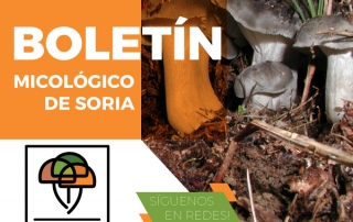 Primeros marzuelos en Soria 2021