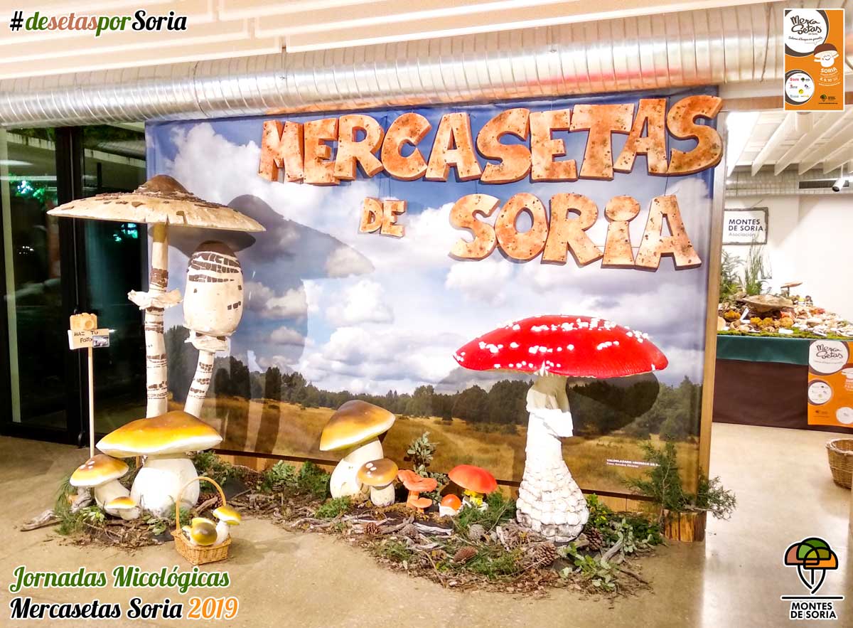 Mercasetas de Soria 2019 photocall
