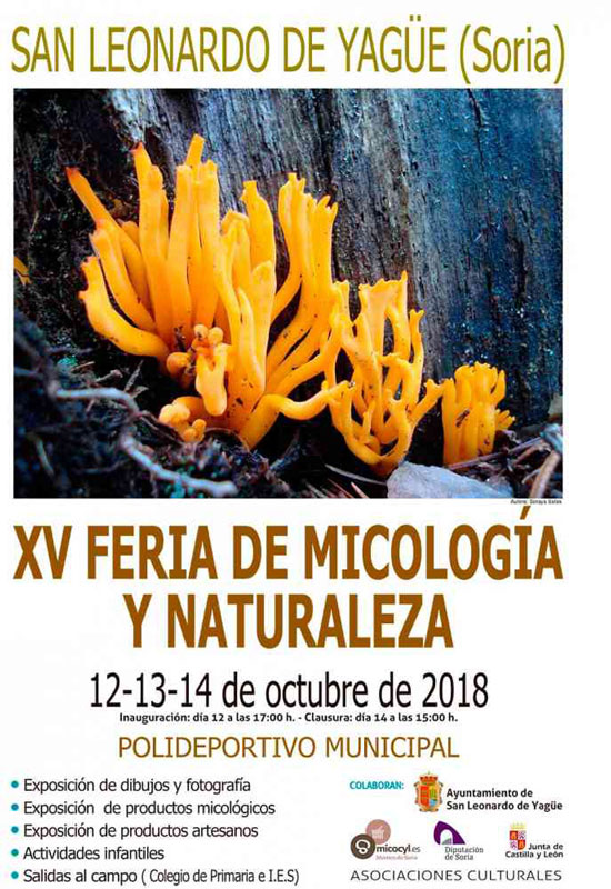 Jornadas Micológicas San Leonardo de Yagüe 2018 cartel web