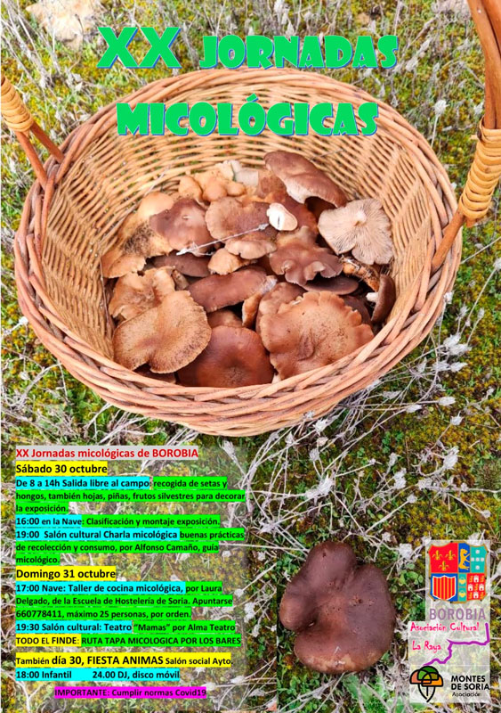 Jornadas Micológicas Borobia 2021 cartel