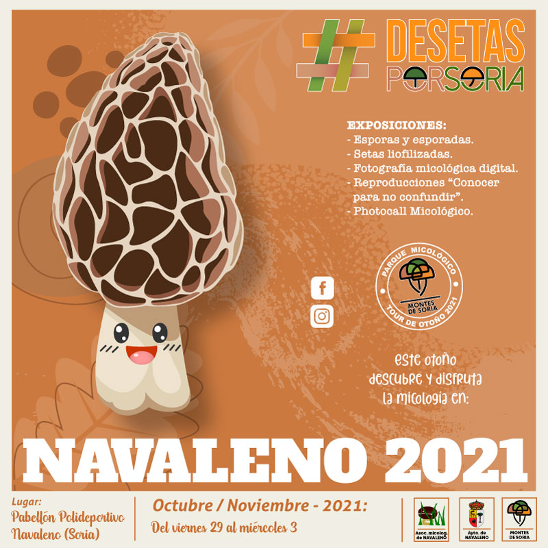 De setas por Soria - Navaleno 2021 portada