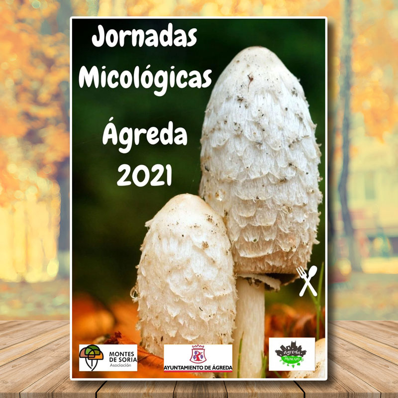 Jornadas Micológicas Ágreda 2021 portada
