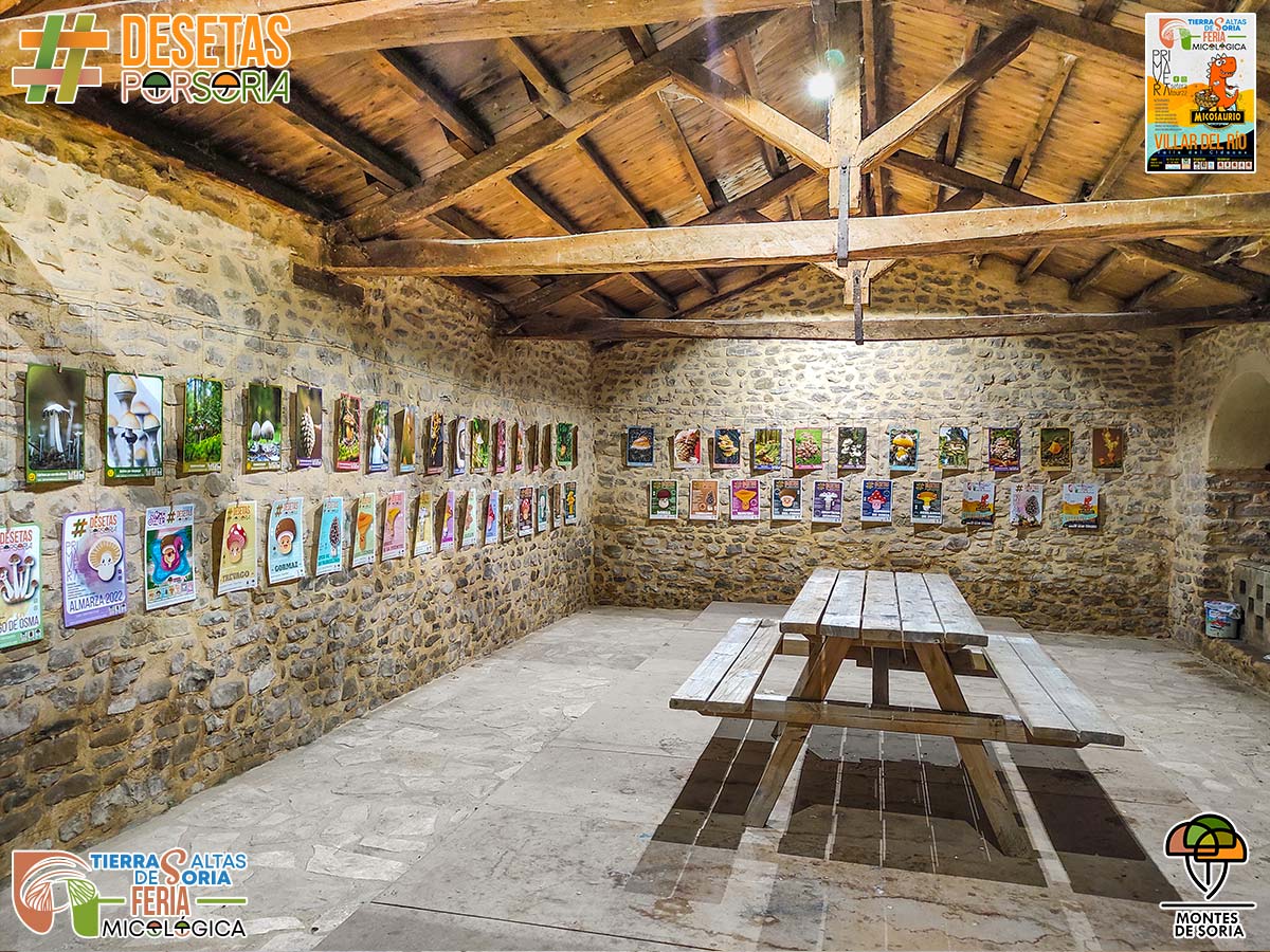Feria micológica de Tierras Altas de Soria 2022 exposición fotográfica