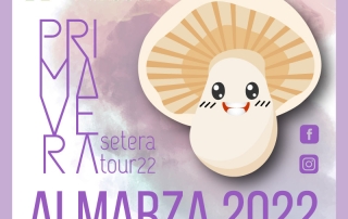 De setas por Soria - Almarza 2022 portada