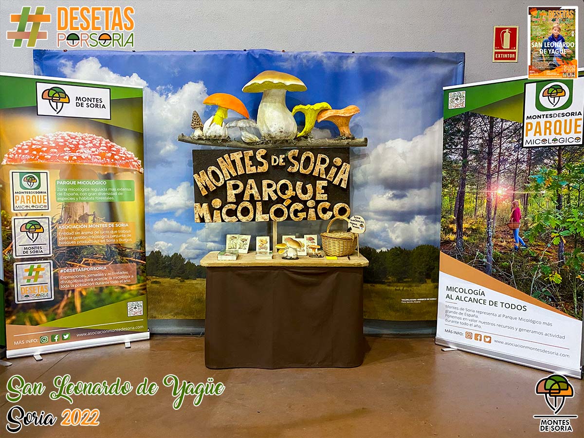 De setas por Soria - San Leonardo de Yagüe 2022 parque micológico