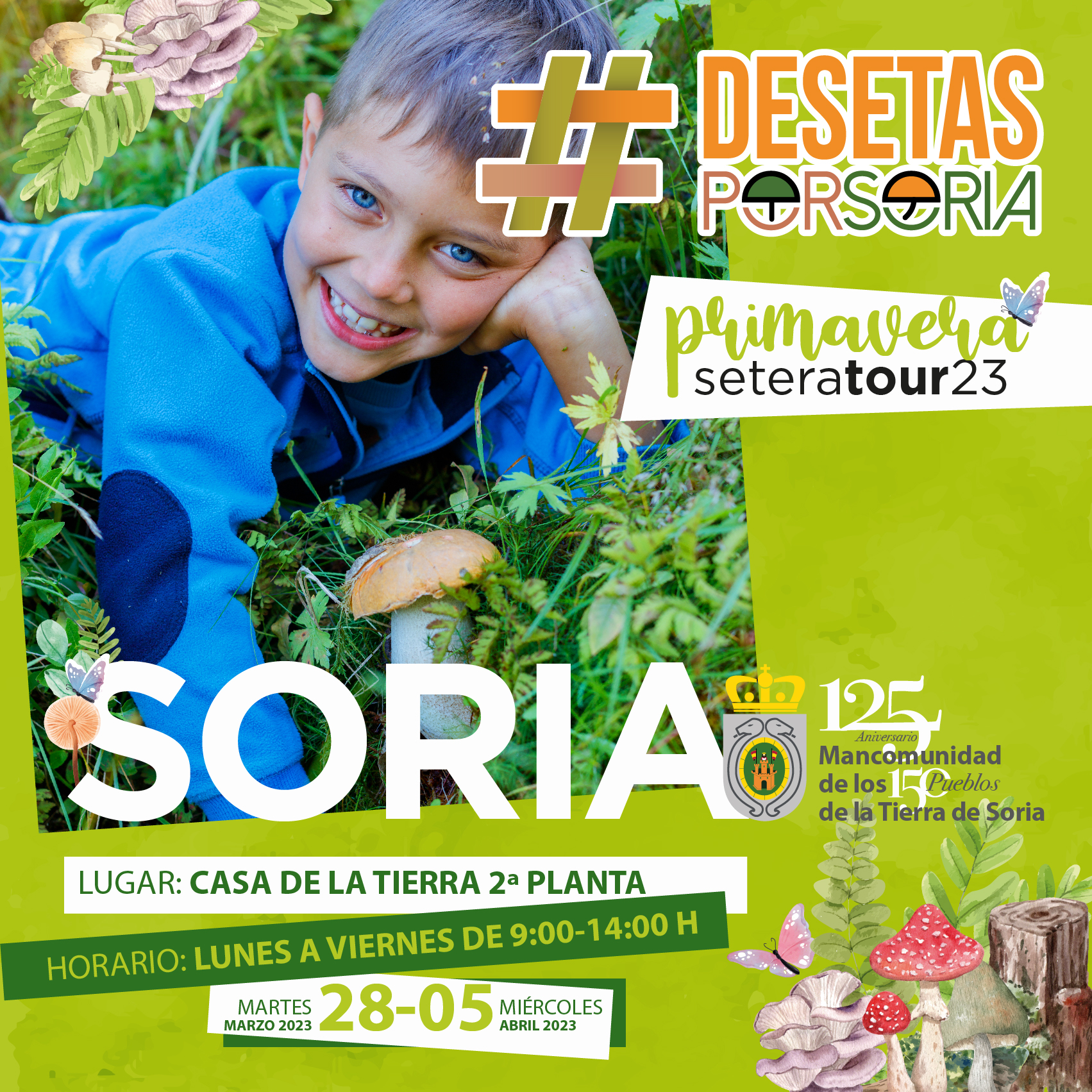 De setas por Soria – Soria 2023