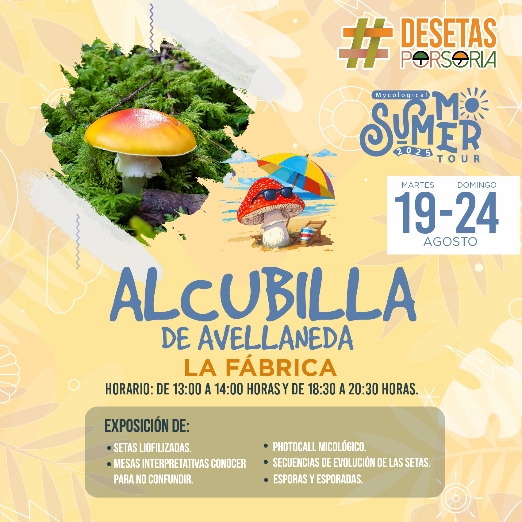 De setas por Soria – Alcubilla de Avellaneda 2025