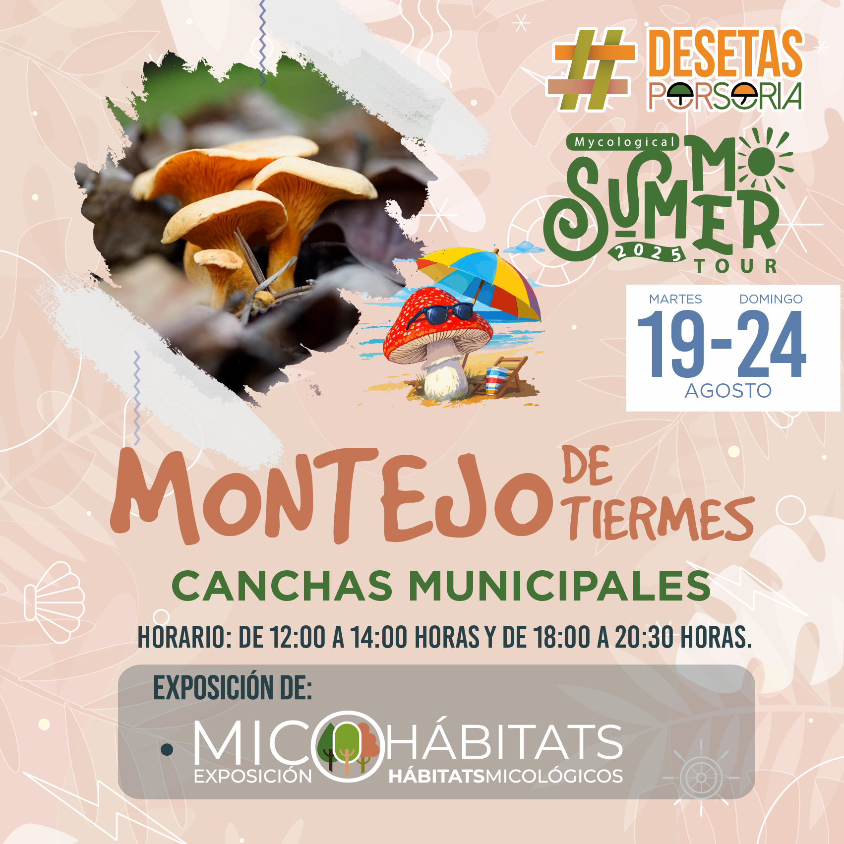 De setas por Soria – Montejo de Tiermes 2025