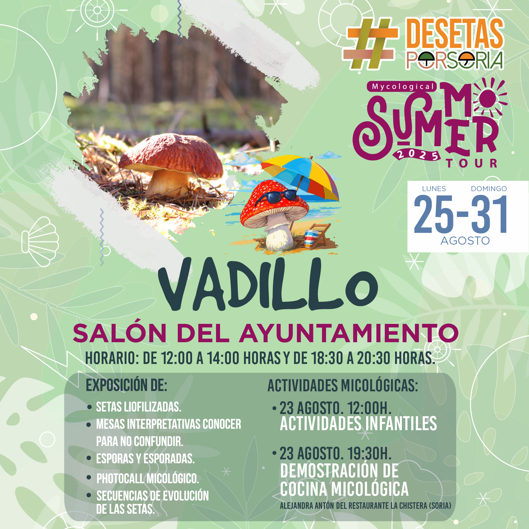 De setas por Soria – Vadillo 2025
