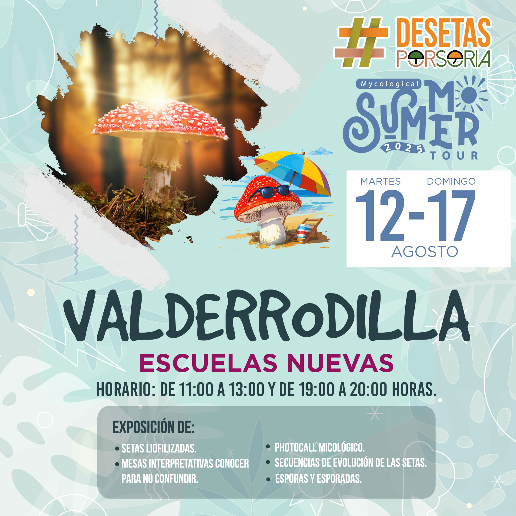 De setas por Soria – Valderrodilla 2025