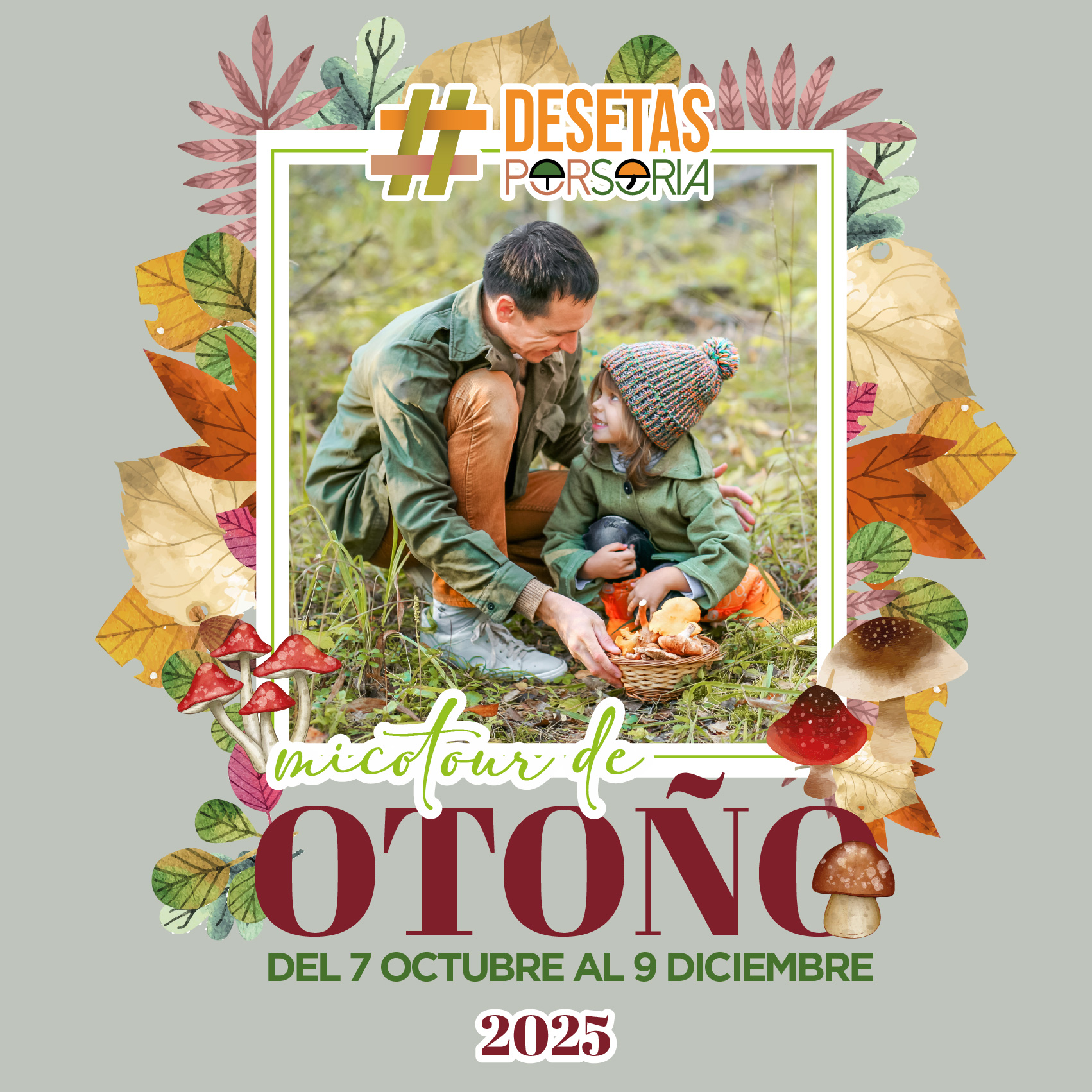 De setas por Soria – Micotour de Otoño 2025
