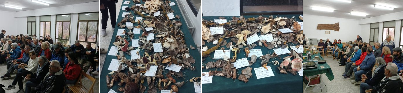 VALDERRODILLA 2025