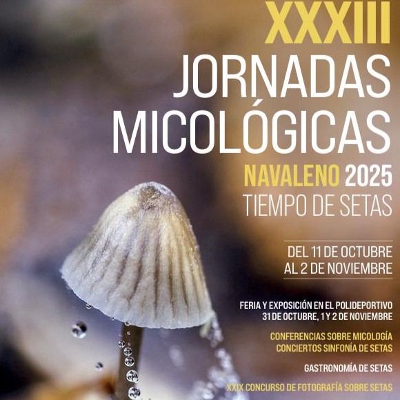 De setas por Soria – Navaleno 2025