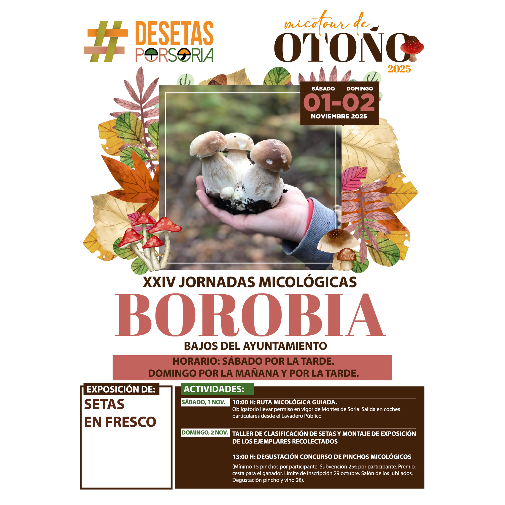 De setas por Soria – Borobia 2025