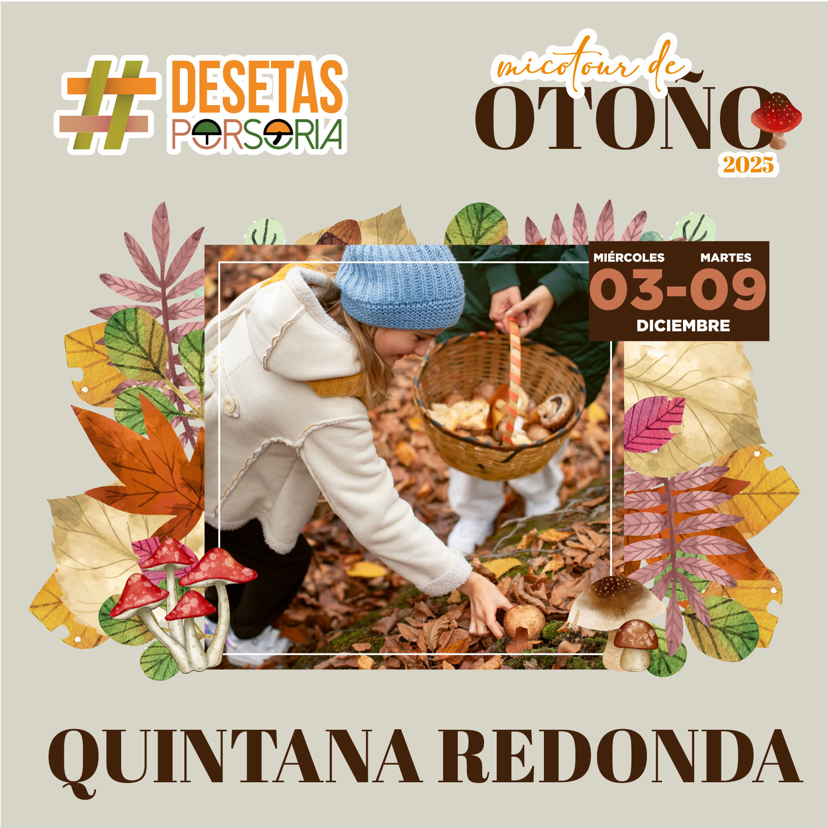 De setas por Soria – Quintana Redonda 2025