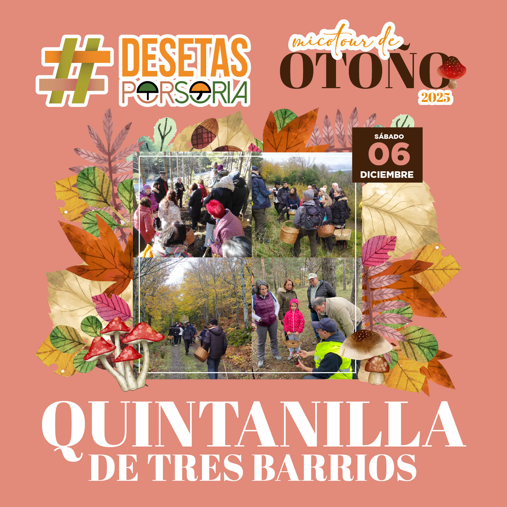 De setas por Soria – Quintanilla Tres Barrios 2025