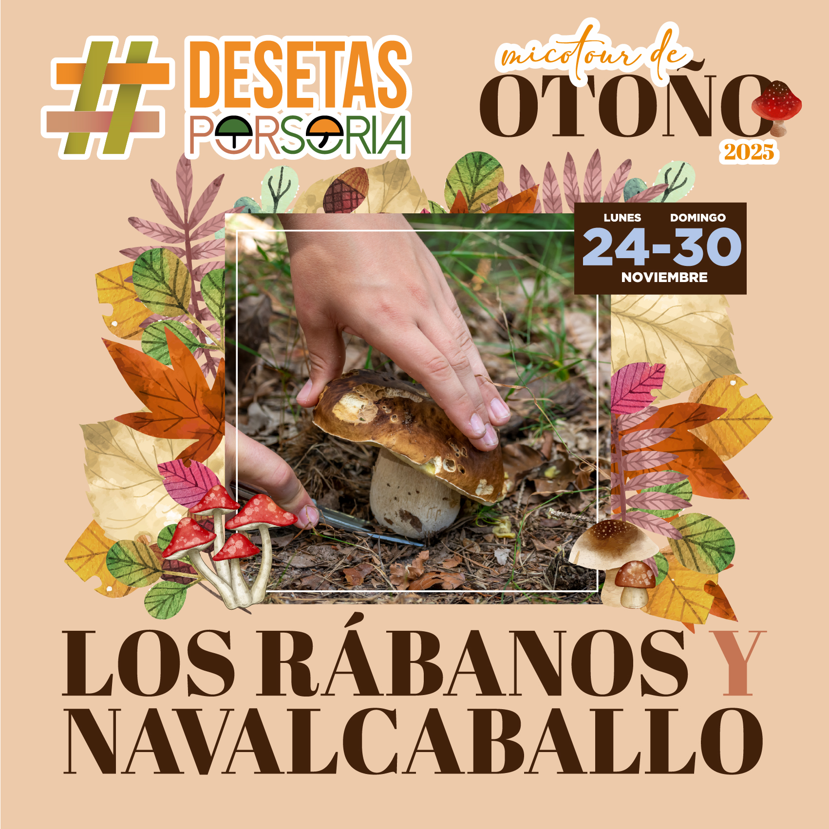 De setas por Soria – Navalcaballo y Los Rábanos 2025