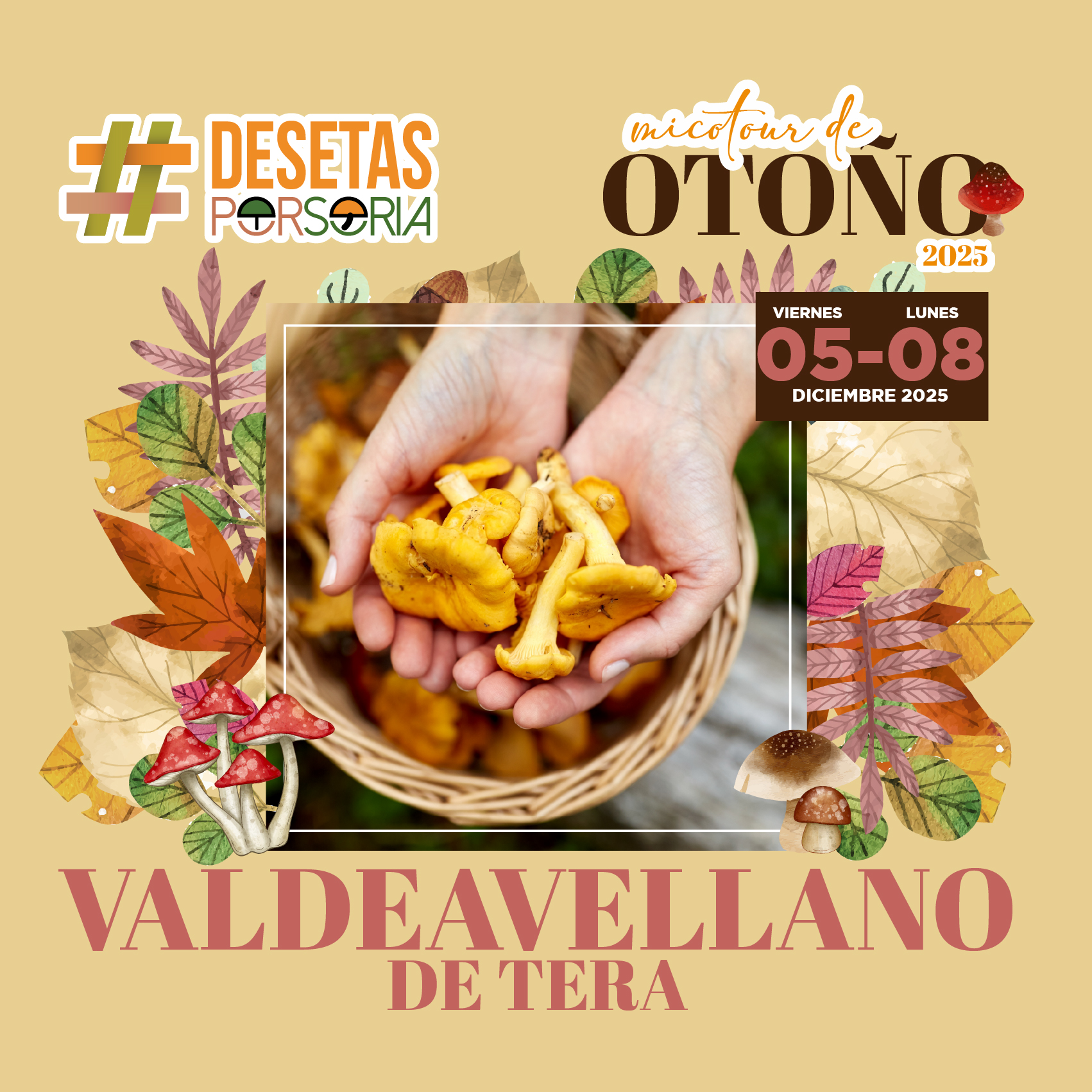 De setas por Soria – Valdeavellano de Tera 2025