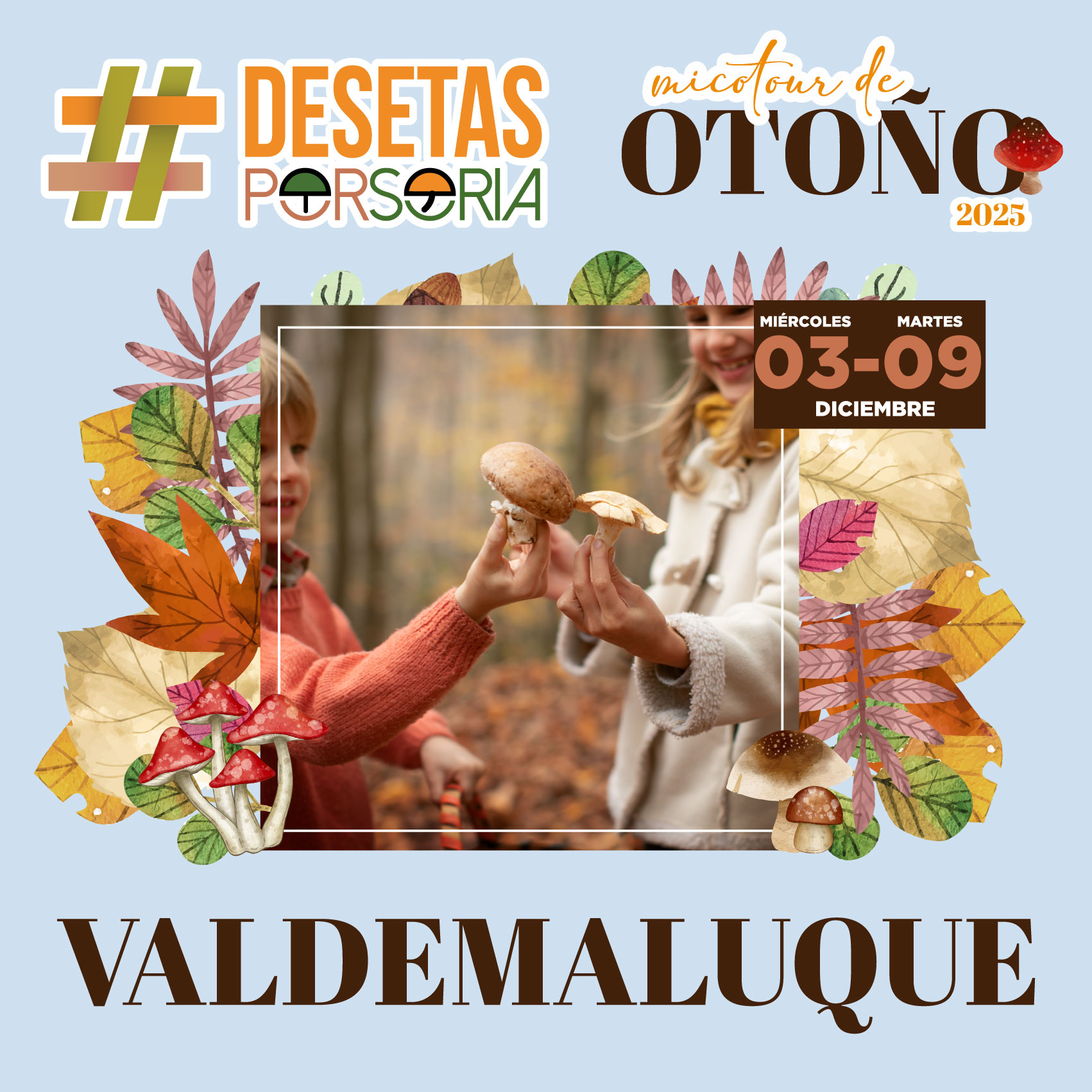 De setas por Soria – Valdemaluque 2025
