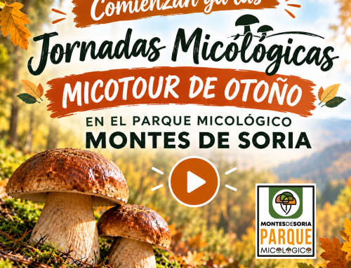 Comienza el Micotour de Otoño 2026 en Montes de Soria