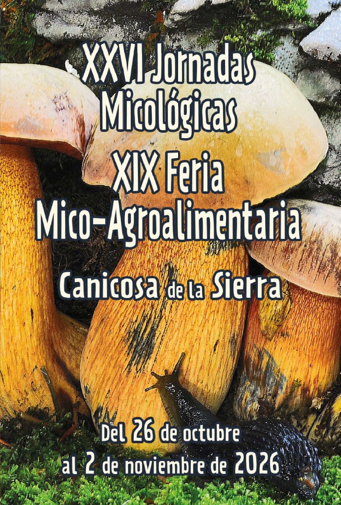 Diptico 1